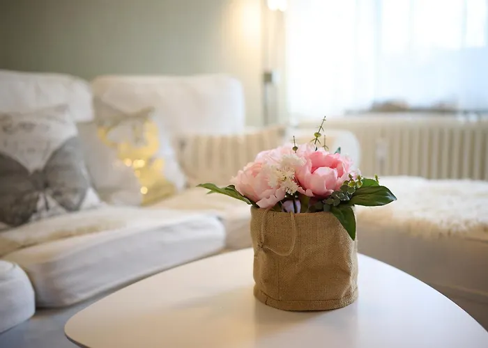 Mien Leev البرازيل